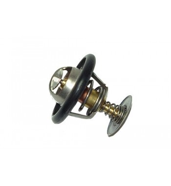 TERMOSTATO - ERR3291