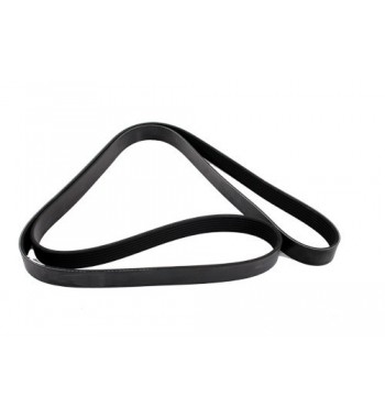 CORREA TRAPEZOIDAL - ERR4461G