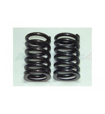 MUELLE DE VALVULA - ERR4628