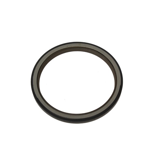 RETEN TRASERO CIGUEÑAL - LR084639